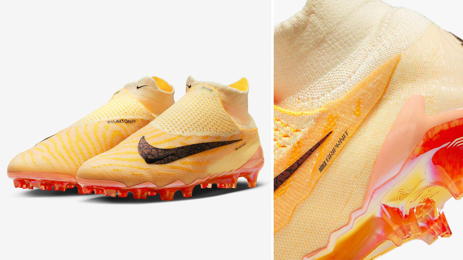 结果的预测 结果的预测