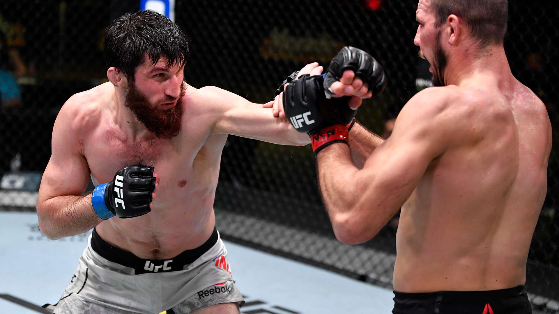 因莫比莱 因莫比莱